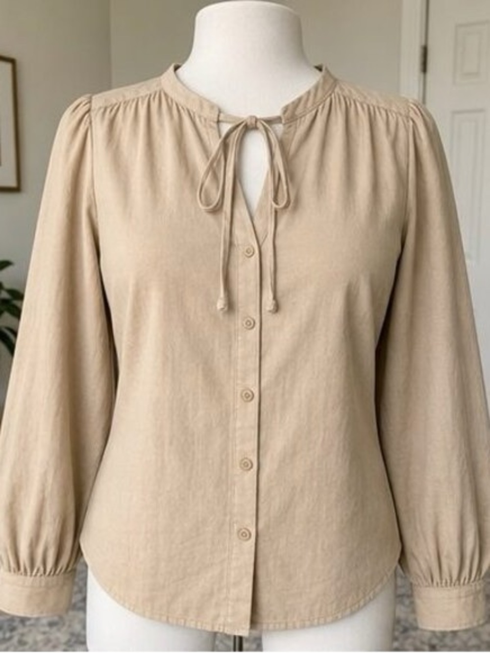 Tie-Neck Long Sleeve Blouse - Tan
